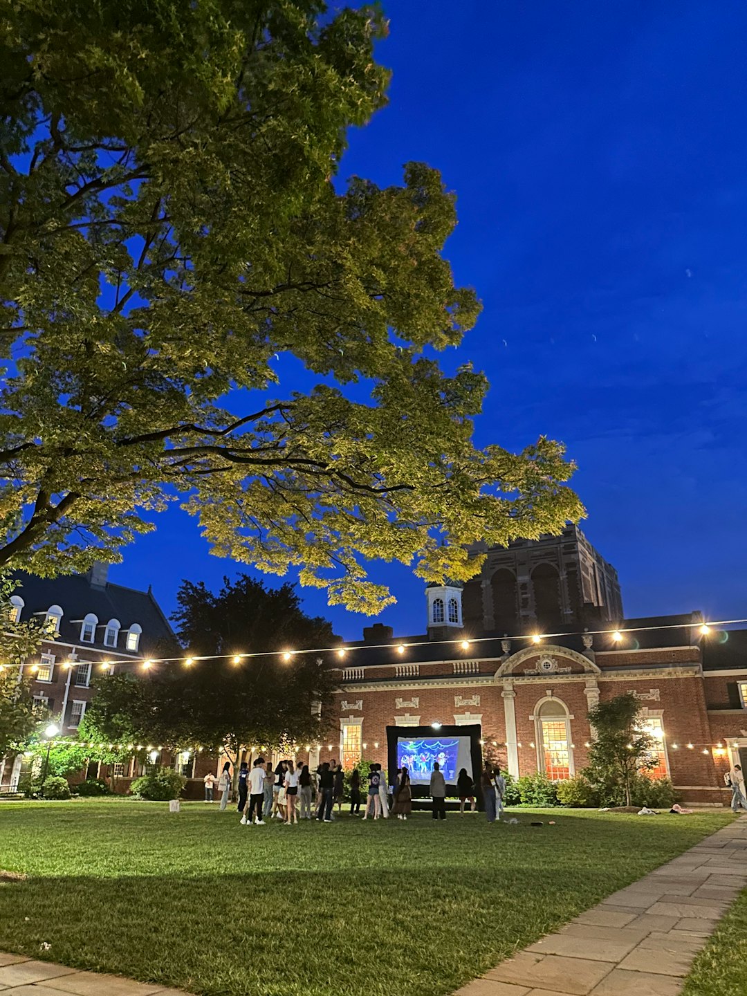 Friends watch a movie on a screen outdoors at night.